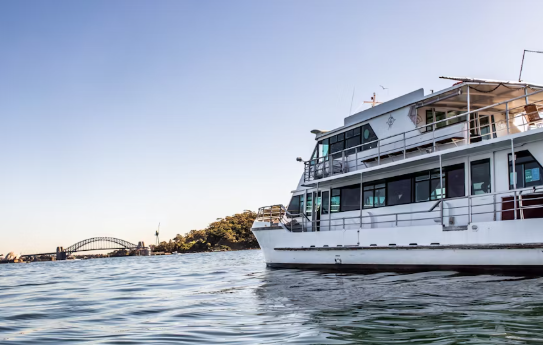 New Year's Eve party cruise at Sydney Harbor - Image 2